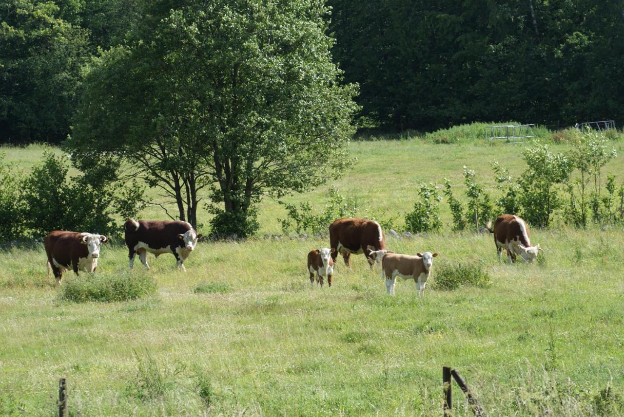 The Old Henhouse Bed and Breakfast Tollarp Buitenkant foto